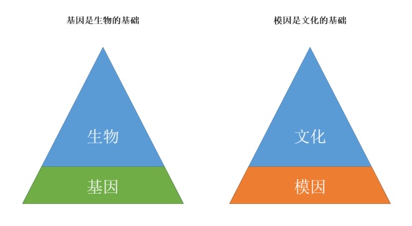 【卤豆干】病毒式营销？不如试试模因式营销